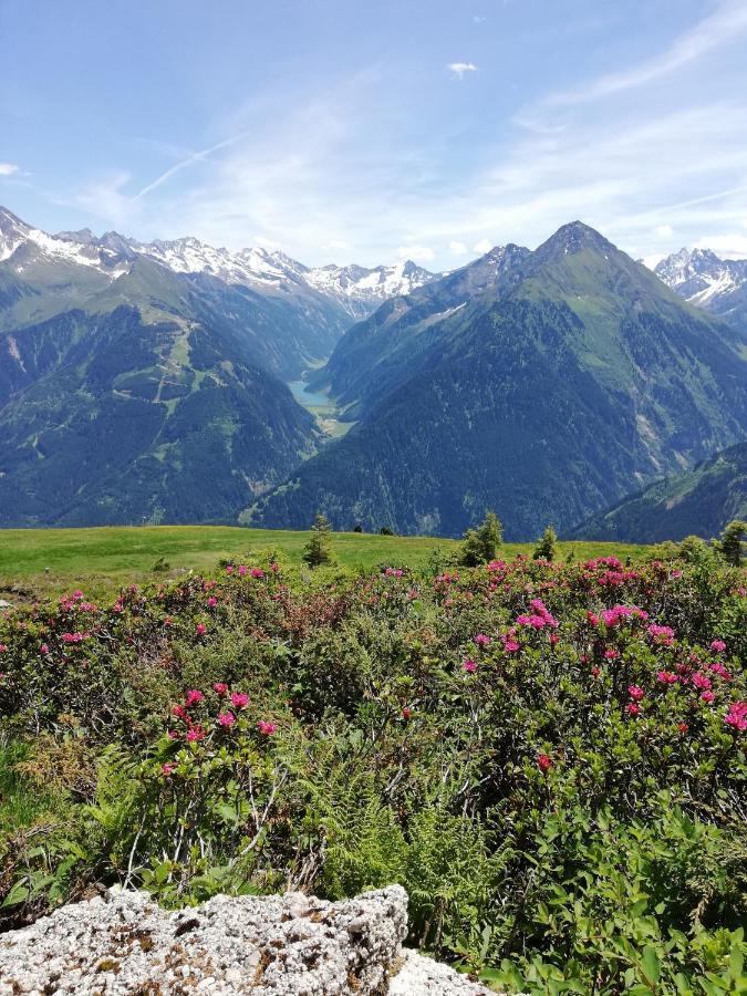 Gaestehaus Tramnitz Mayrhofen Esterno foto
