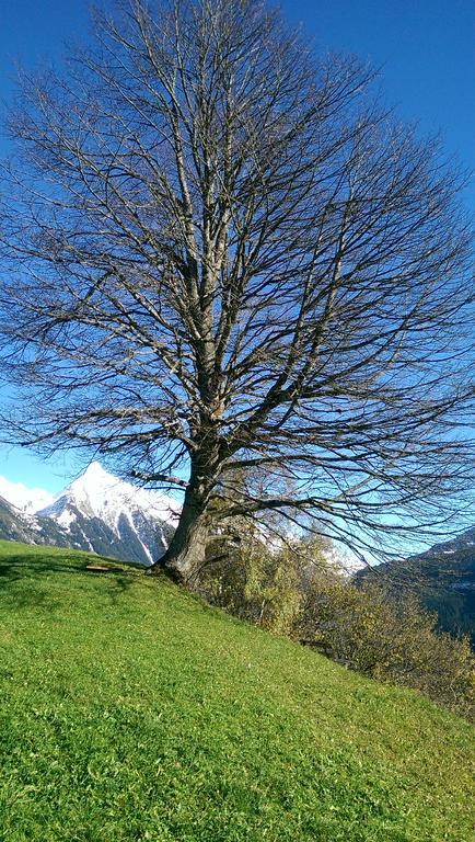Gaestehaus Tramnitz Mayrhofen Esterno foto